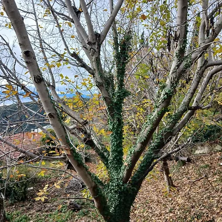 Mountain And Sea View Σπίτι διακοπών *